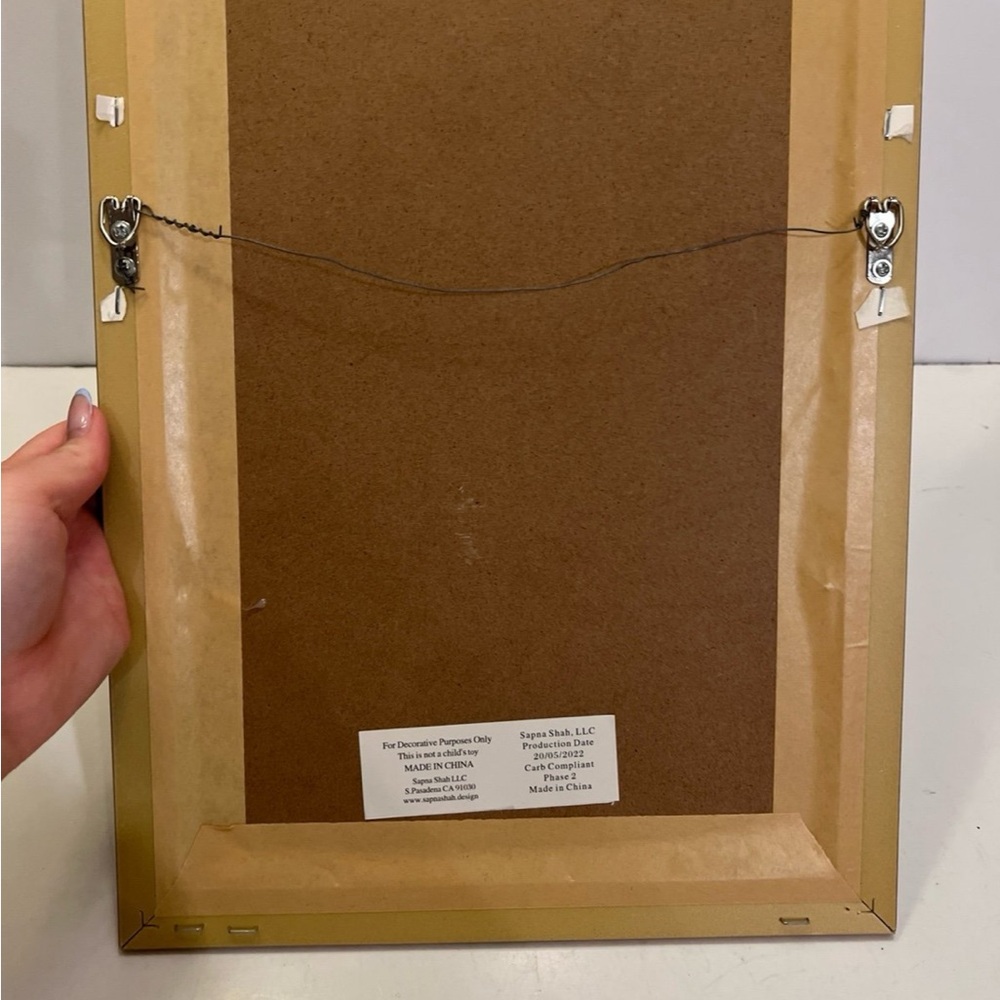 Polypodiopsida fig.18 picture frame decor - Picture 6 of 8